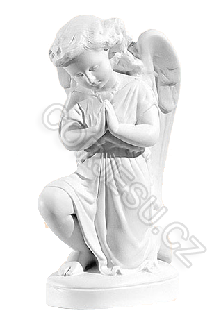 And__l____ek_NSE_4fd48016c6d2c.png