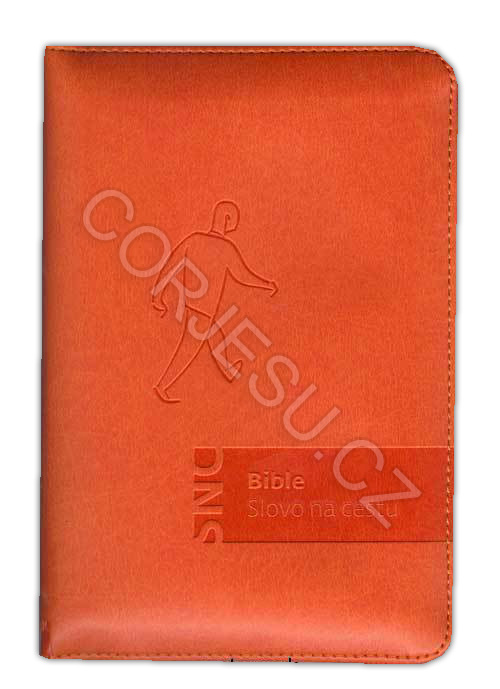 Bible_Slovo_na_c_52e5035eefa81.jpg