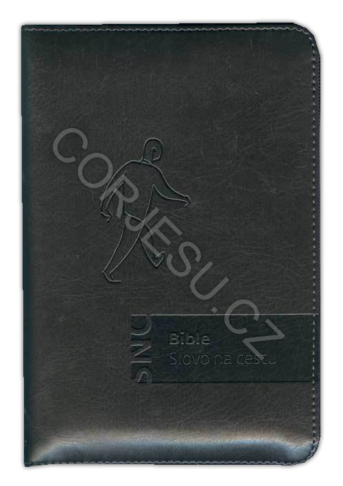 Bible_Slovo_na_c_52e503aa88acb.jpg