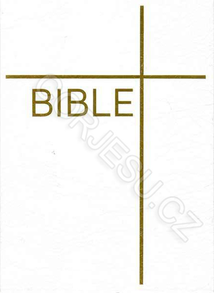 Bible___EP_DT_b__52e4e2fb295d6.jpg