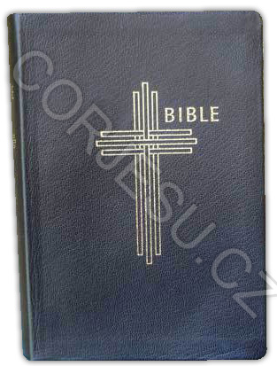 Bible___EP_DT_je_52e4e4b3ab164.jpg