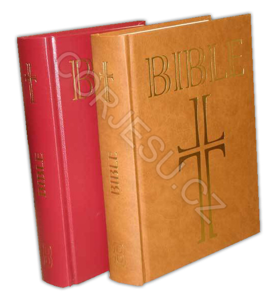 Bible___EP_DT_ma_52e4e78ac9744.jpg