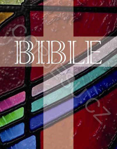 Bible___EP_DT_ma_52e4ea769eb8c.jpg