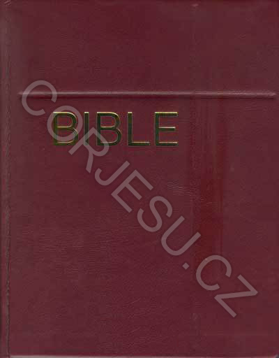 Bible___EP_DT_ro_52e4f13f87fdc.jpg