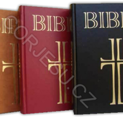 Bible___EP_DT_st_52e4f1cacca5c.png