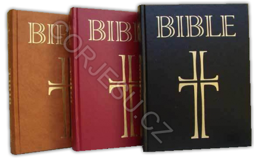 Bible___EP_DT_st_52e4f1cacca5c.png