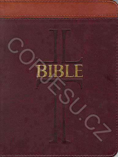 Bible___EP_DT_st_52e4f4cd6be02.jpg