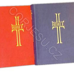 Bible___EP_DT_um_52e4f65f307ea.jpg