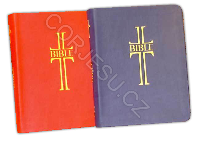 Bible___EP_DT_um_52e4f65f307ea.jpg