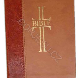 Bible___EP_DT_um_52e4fce93229d.jpg