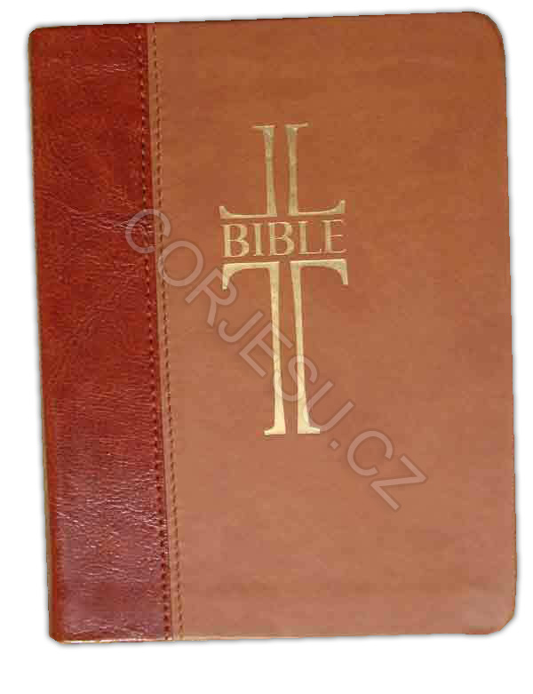 Bible___EP_DT_um_52e4fce93229d.jpg