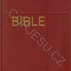 Bible___EP_DT_v__52e4fdcfec50b.jpg