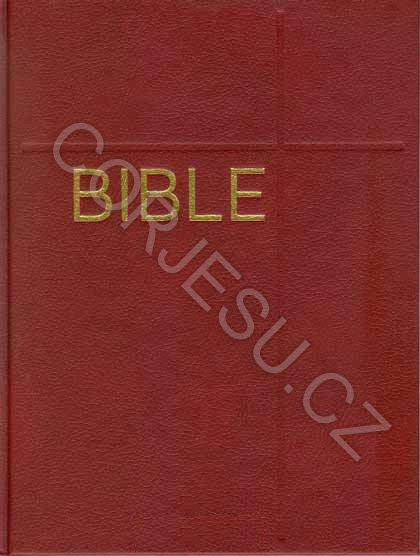 Bible___EP_DT_v__52e4fdcfec50b.jpg