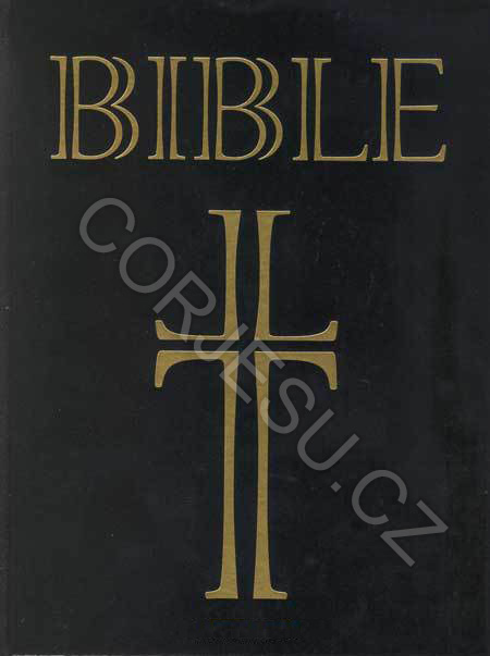 Bible___EP_DT_ve_52e4fd703c8e5.jpg