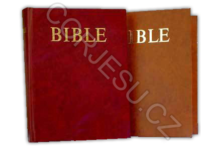 Bible___EP_bez_D_52e429df66270.jpg