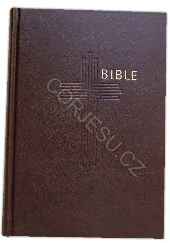 Bible___EP_bez_D_52e42daa6a4b5.jpg