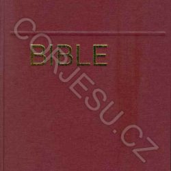 Bible___EP_bez_D_52e4e26b26f27.jpg