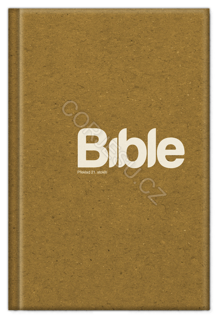 Bible__p__eklad__52e50b135c381.jpg