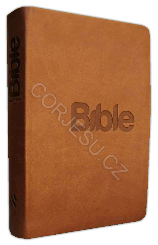 Bible__p__eklad__52e50c7fc3bef.jpg