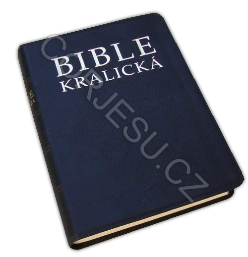 Bible_kralick____52e4fe4732e4f.jpg