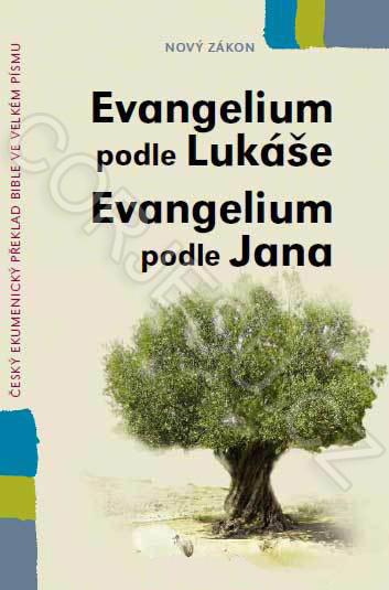 Evangelium_podle_52e513cf5f44f.jpg