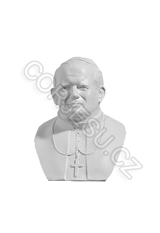 Jan_Pavel_II_NSE_4fd64b40a49d8.png