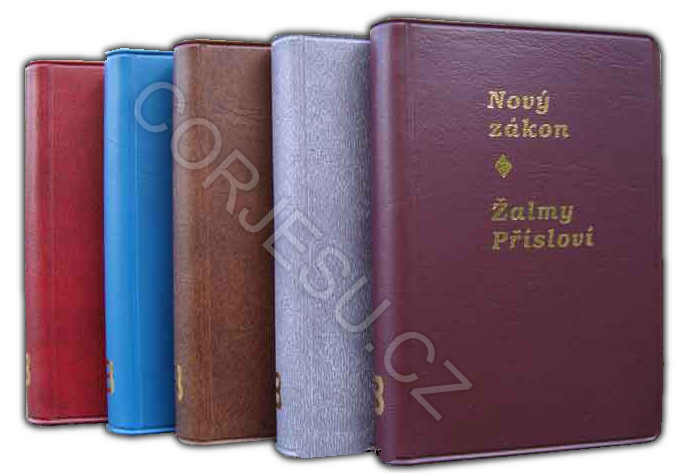 Nov___z__kon_____52e51aa51ce44.png