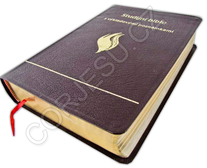 Studijn___Bible__52e51e594cd9d.png