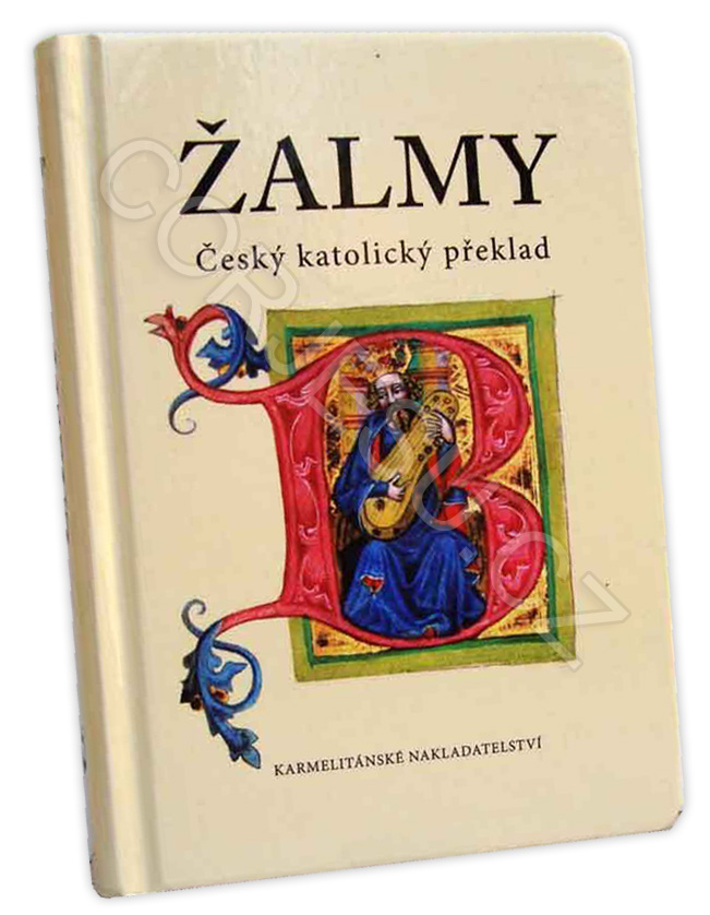 __almy_v__z._____52e51f73474fa.jpg